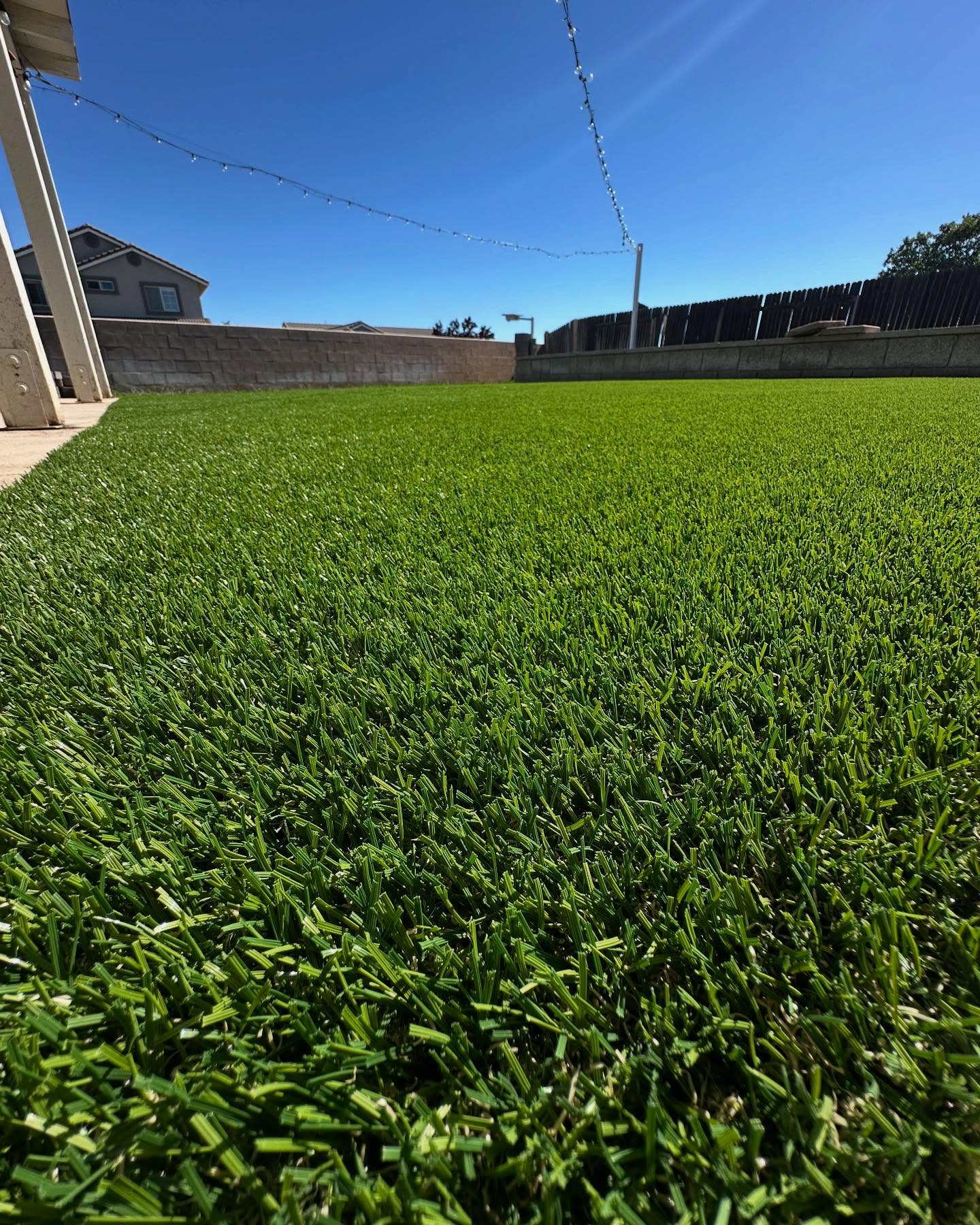 Artificial Grass Cleaning, Odor Removal & Repairs, Orange County