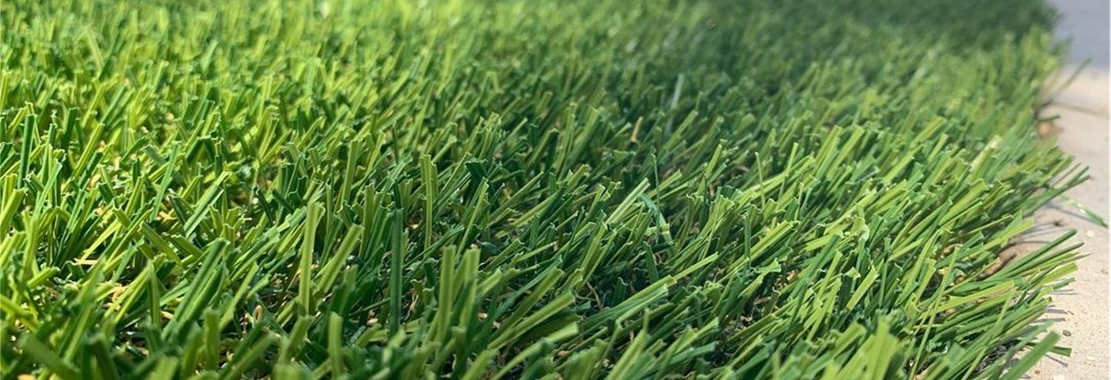 Evergreen Artificial Grass, Orange County Artificial Grass