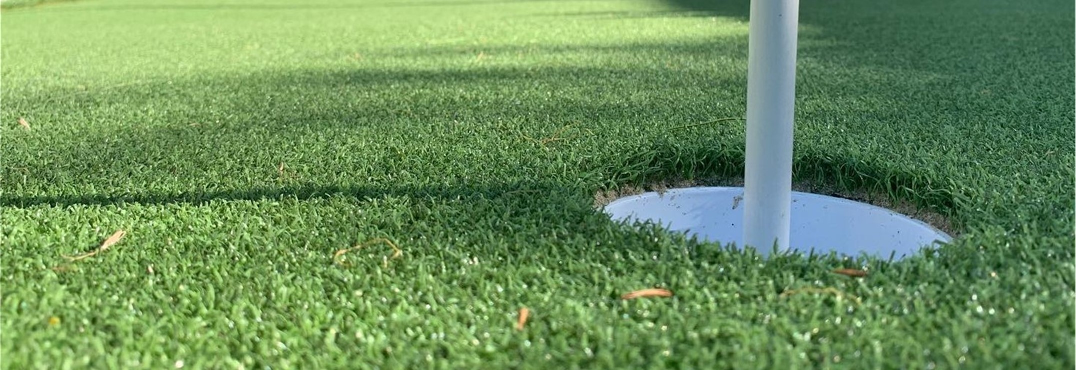 Links Putt Turf, Orange County Artificial Grass Cleaning