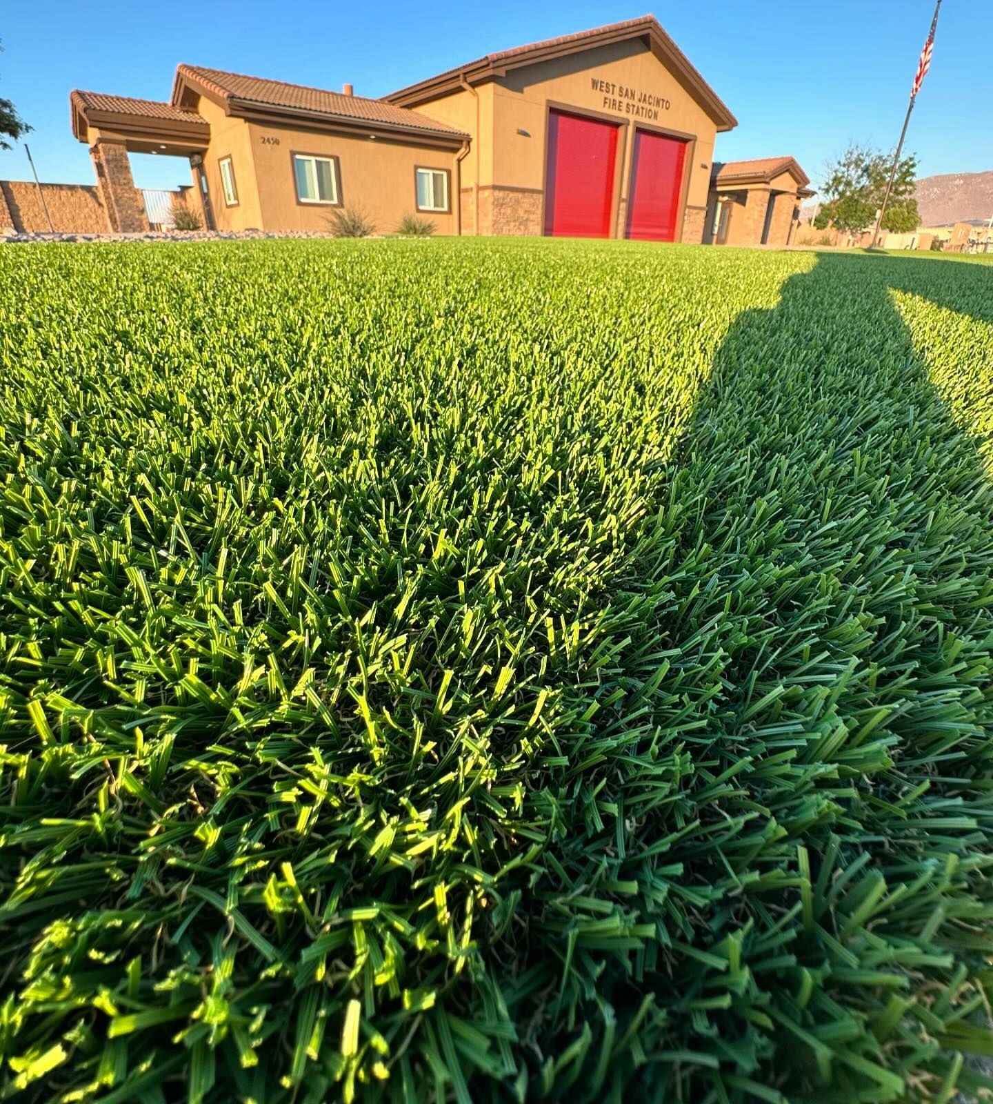 Artificial Grass Maintenance & Odor Removal, Orange County