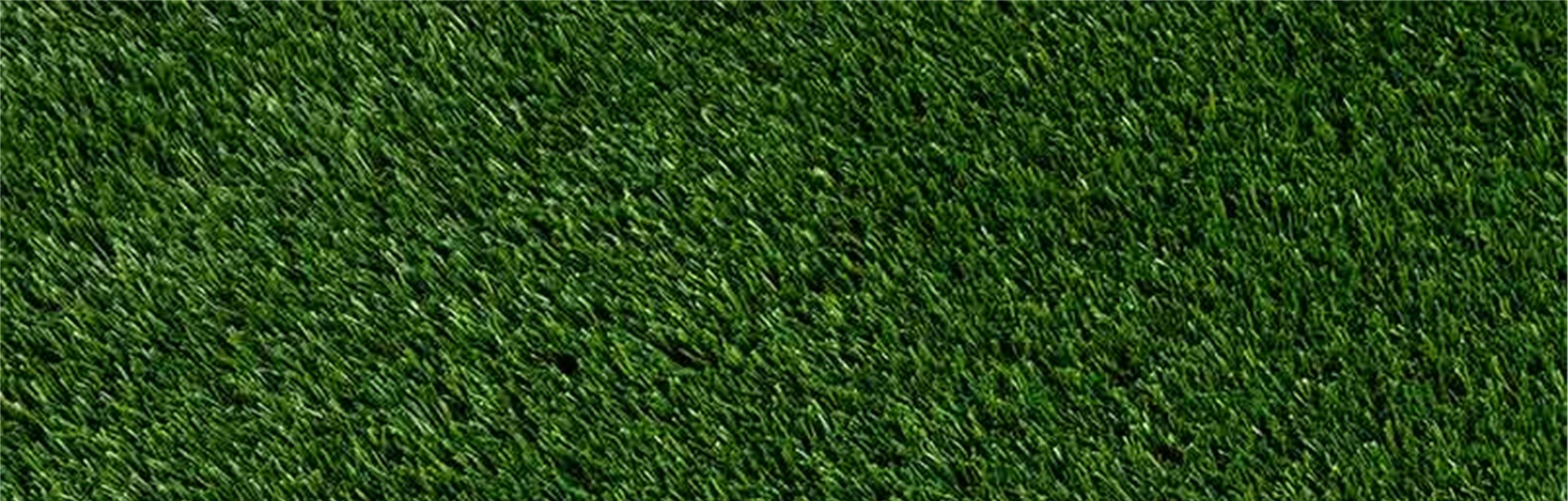 Oakmont Artificial Grass, Orange County Artificial Grass