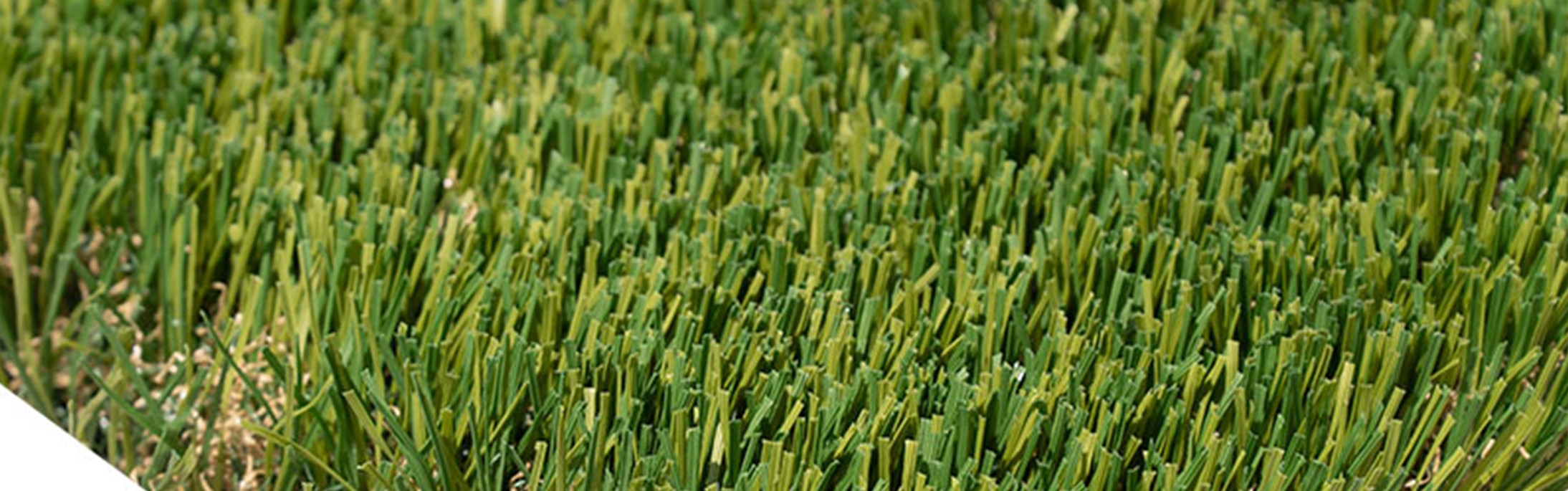 Oakmont Supreme Artificial Turf, Orange County Artificial Grass