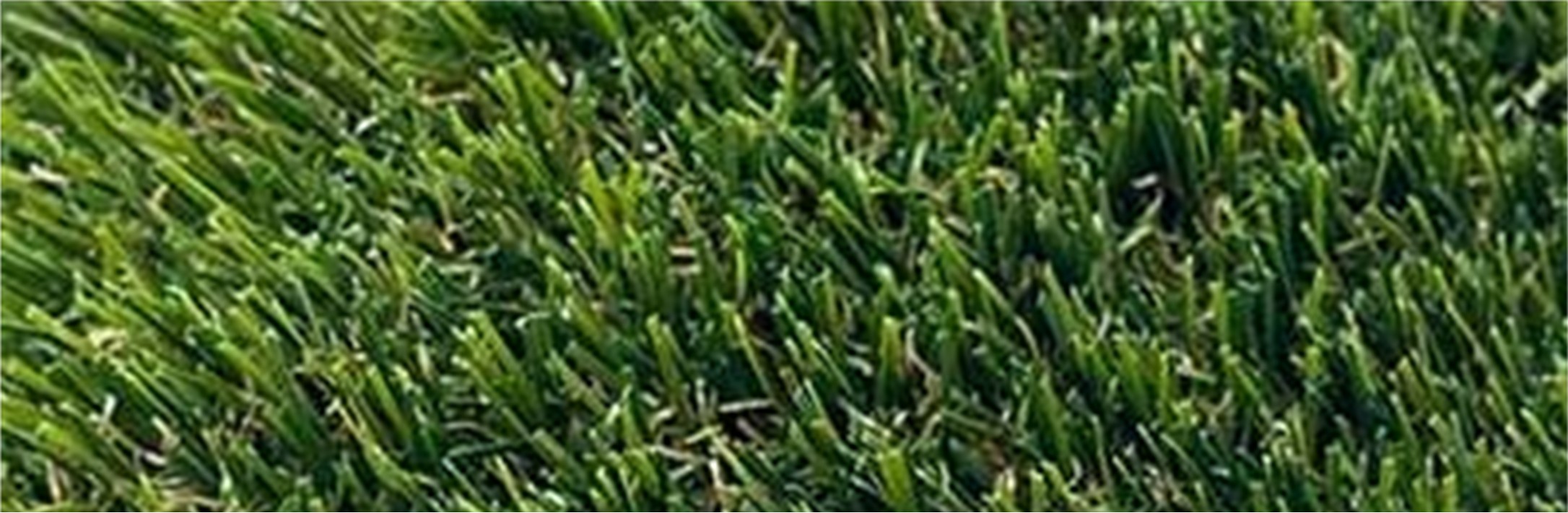 Orange County Artificial Grass Cleaning, Odor Removal & Repairs