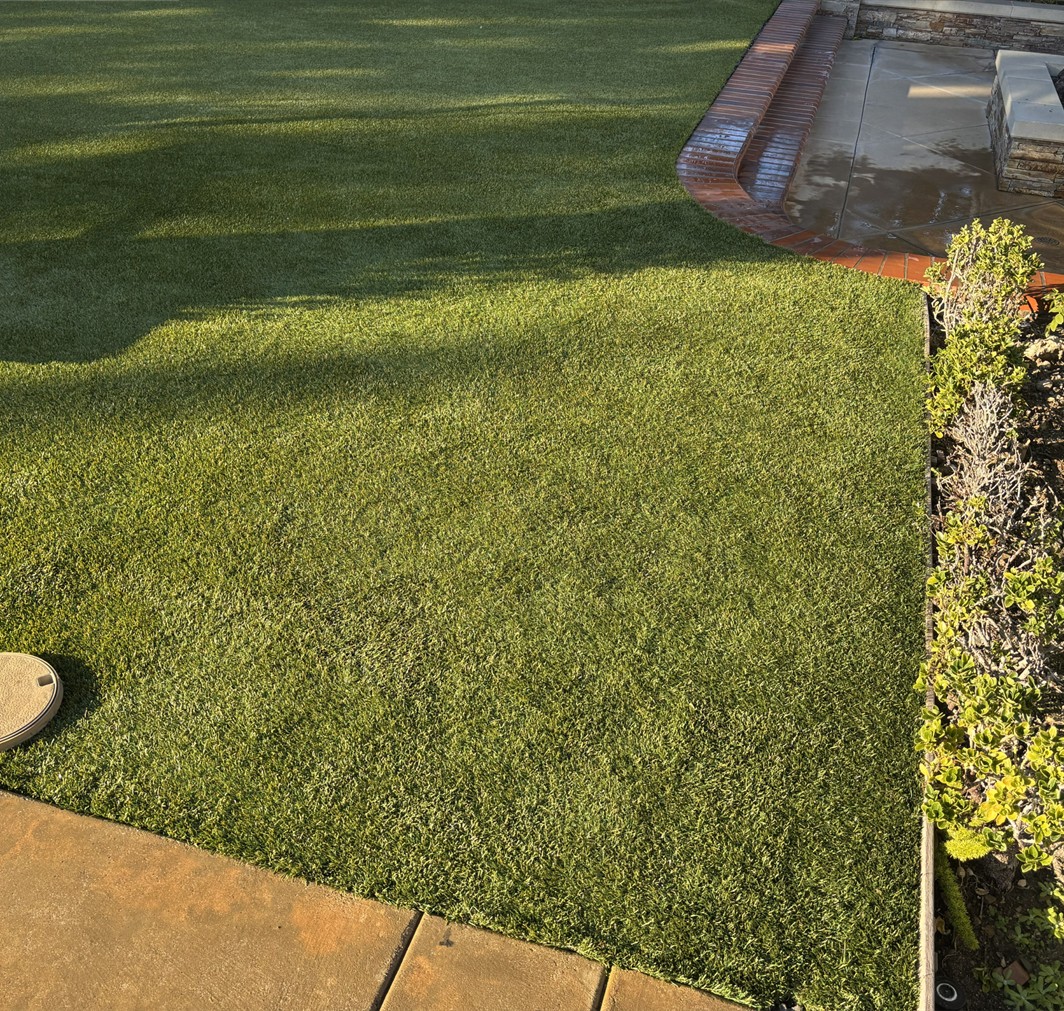 Artificial Grass Repairs, Orange County Artificial Grass Cleaning