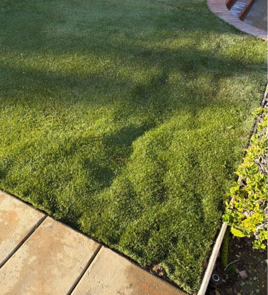 Root Removal Before Orange County Artificial Grass Cleaning, Odor Removal & Repairs
