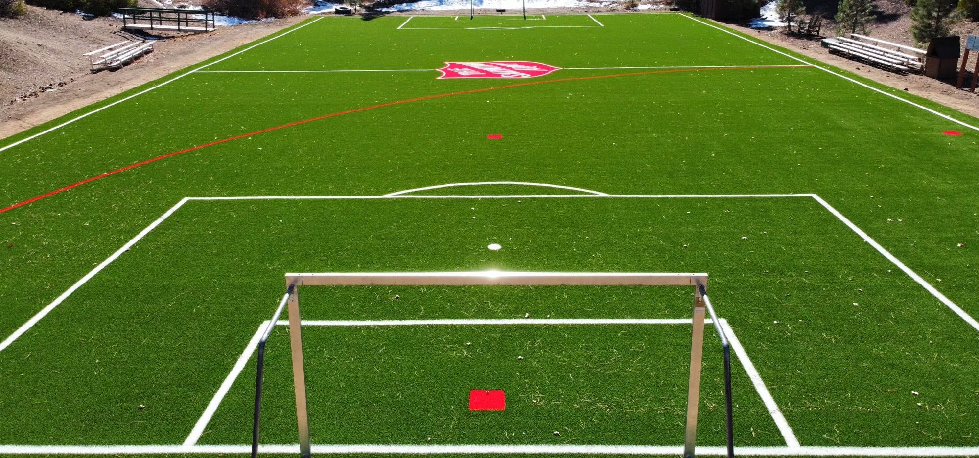 Artificial Grass Cleaning, Odor Removal & Repairs, Orange County