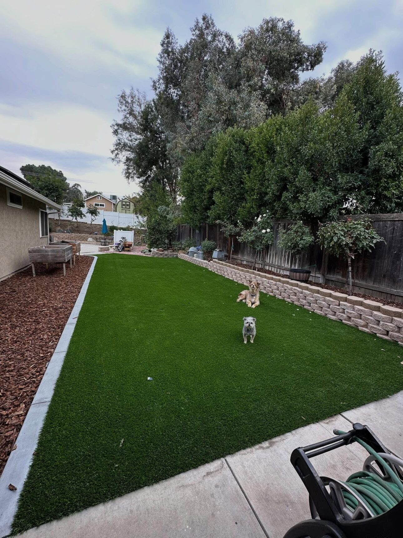 Artificial Grass Replacement, Orange County Artificial Grass