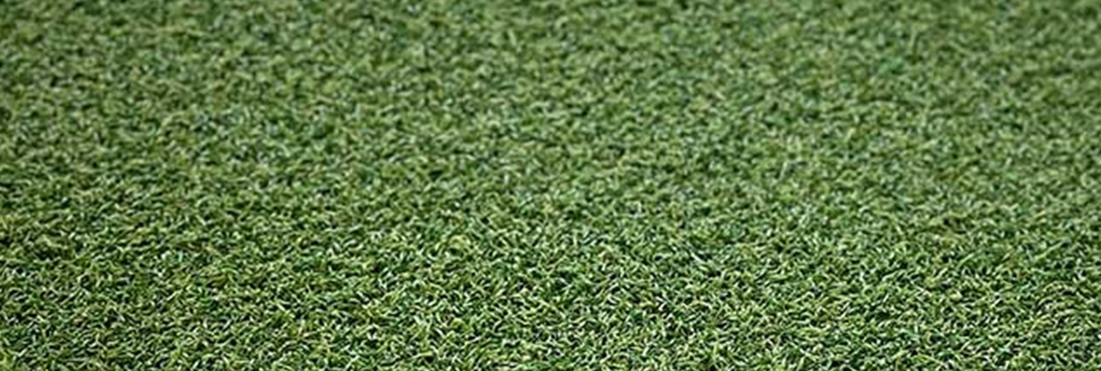 XTREME PLAY Close Up Xtreme Sports/Play Turf, Orange County Artificial Grass